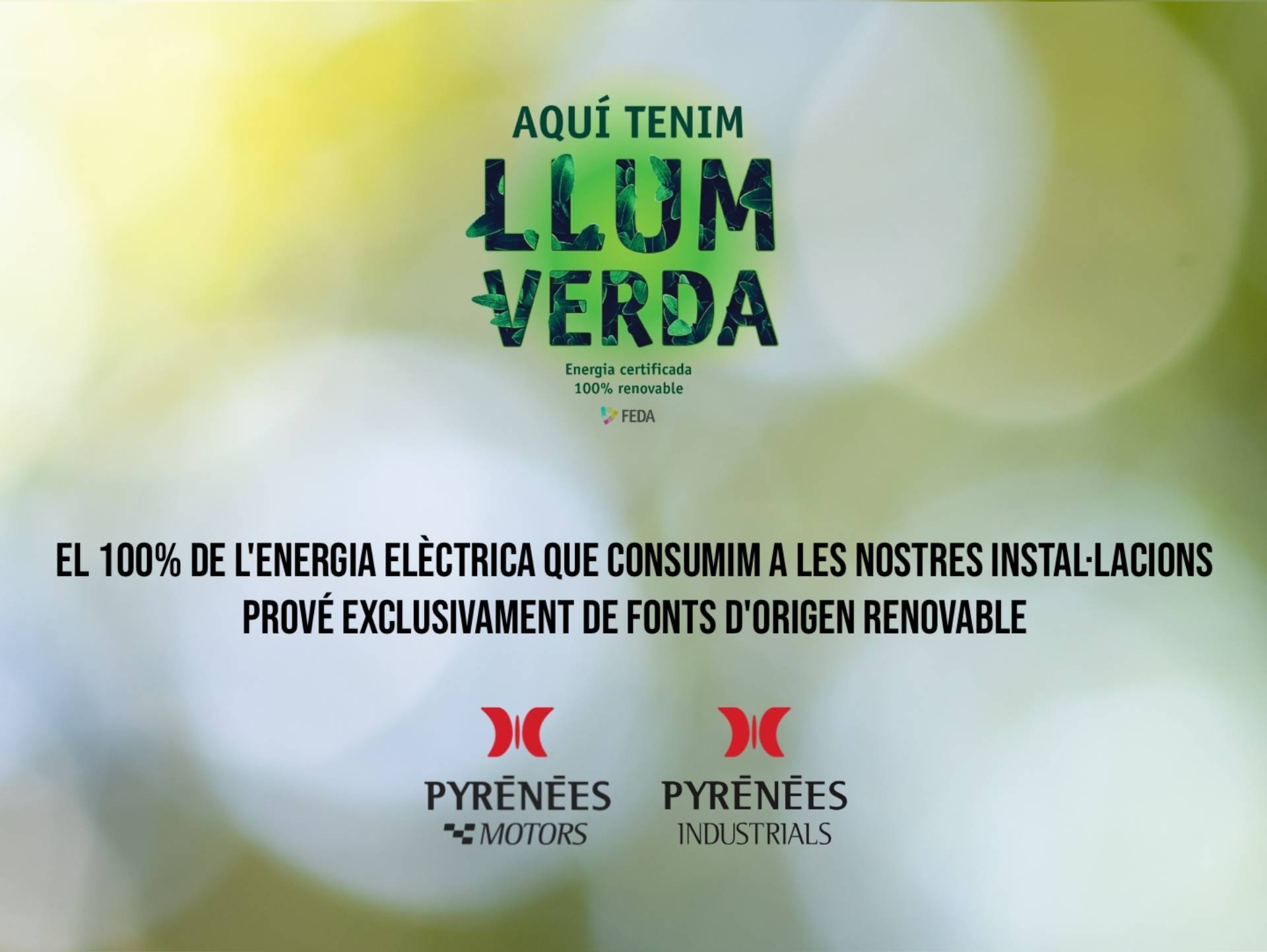Els nostres concessionaris i tallers reben la «Llum Verda»