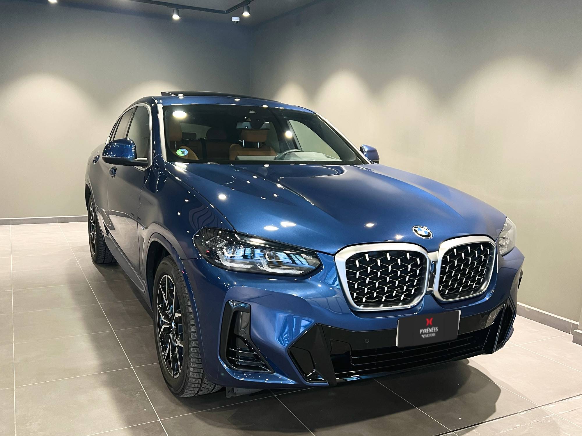 BMW X4 xDrive 20d xLine