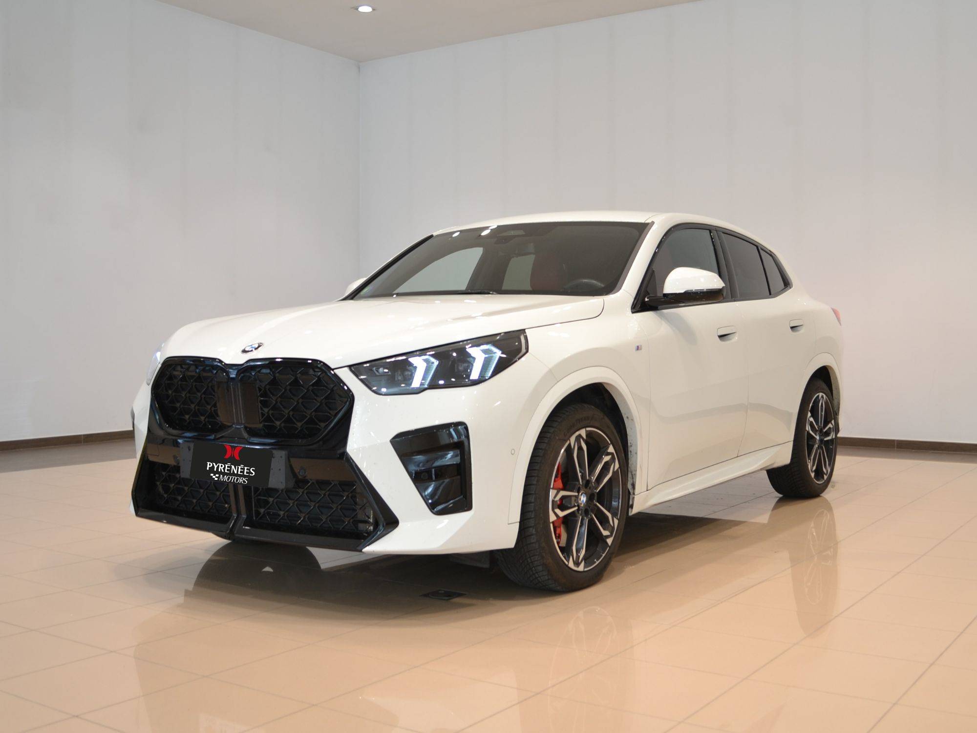 BMW X2 xDrive 20d