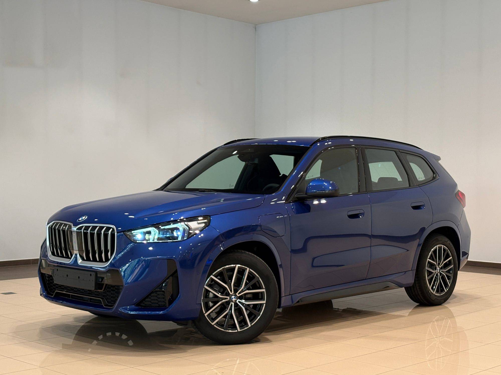 BMW X1 xDrive 25e